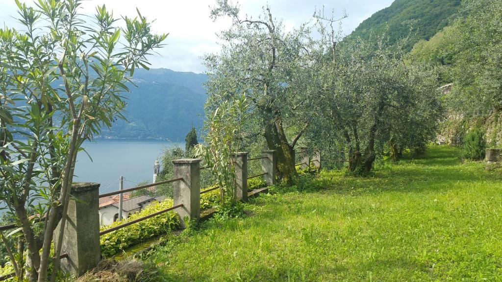Nesso House | Gli Ulivi di Nesso