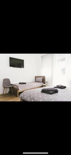 Pozega Apartment | Gloria Apartman
