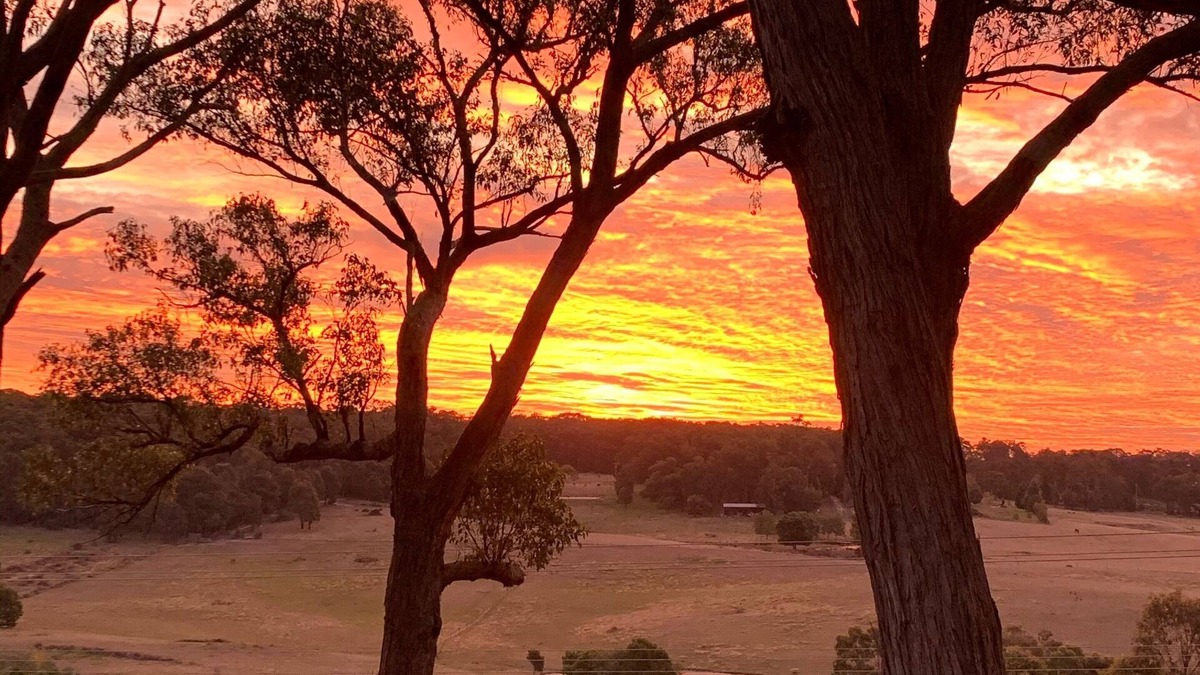 Woodend Apartment | Glorious country views- Pet friendly