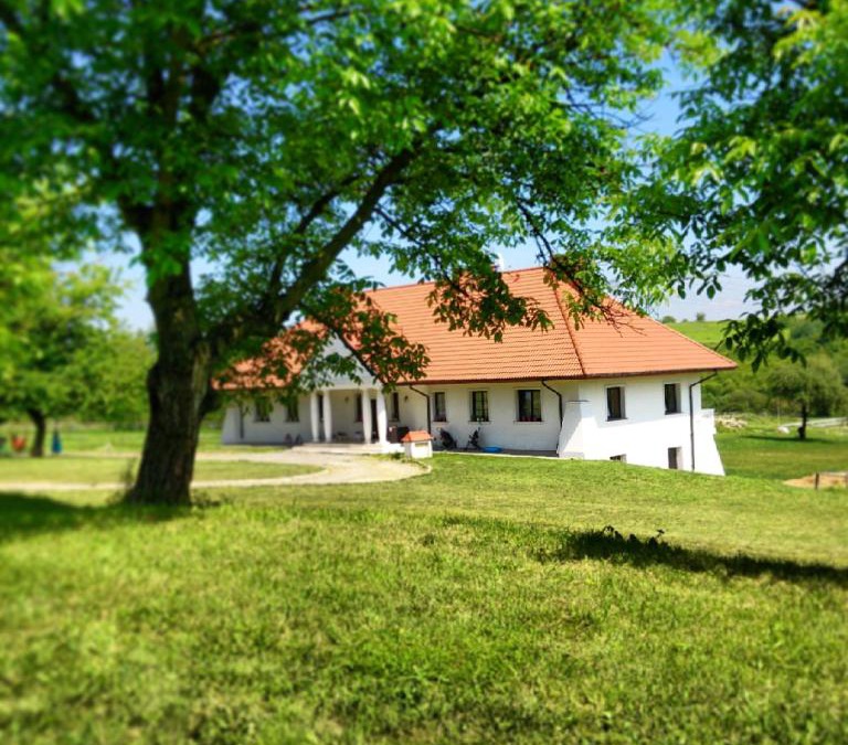 Dwikozy House | Gościniec Husarski