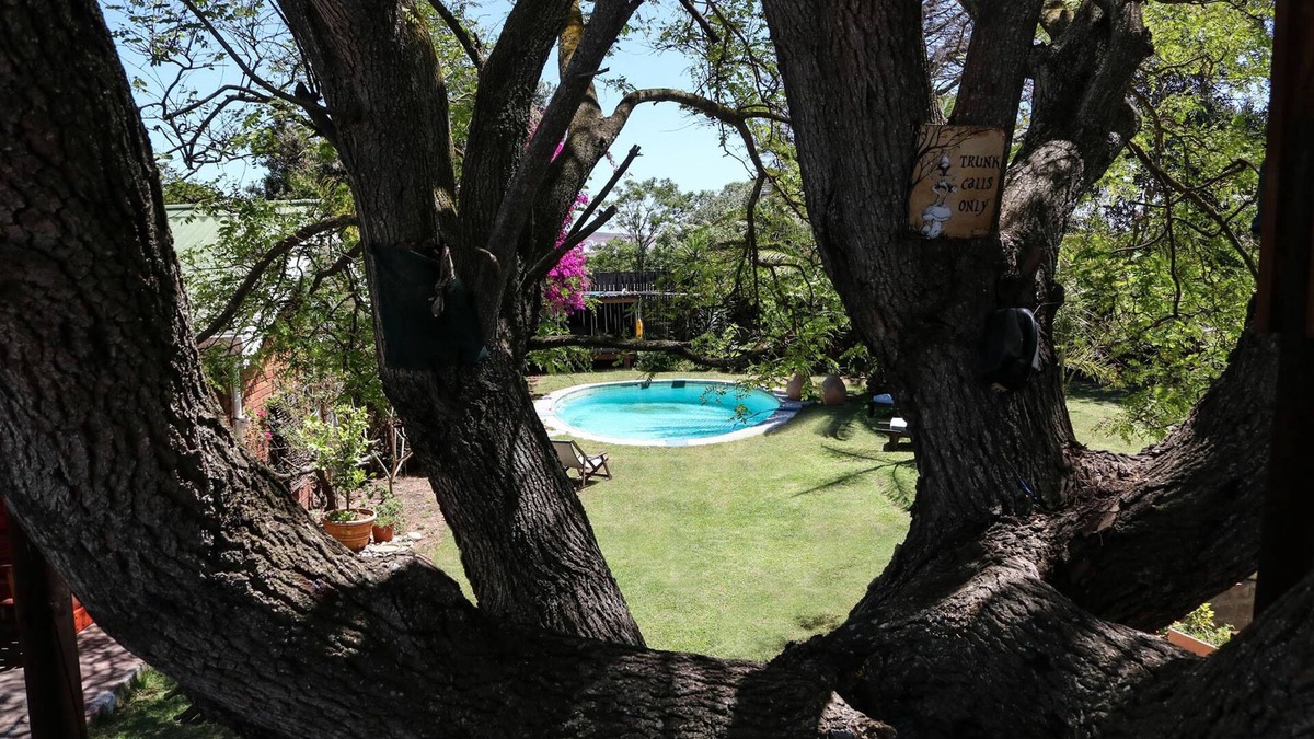 Shelley Point House | Goblins Creek