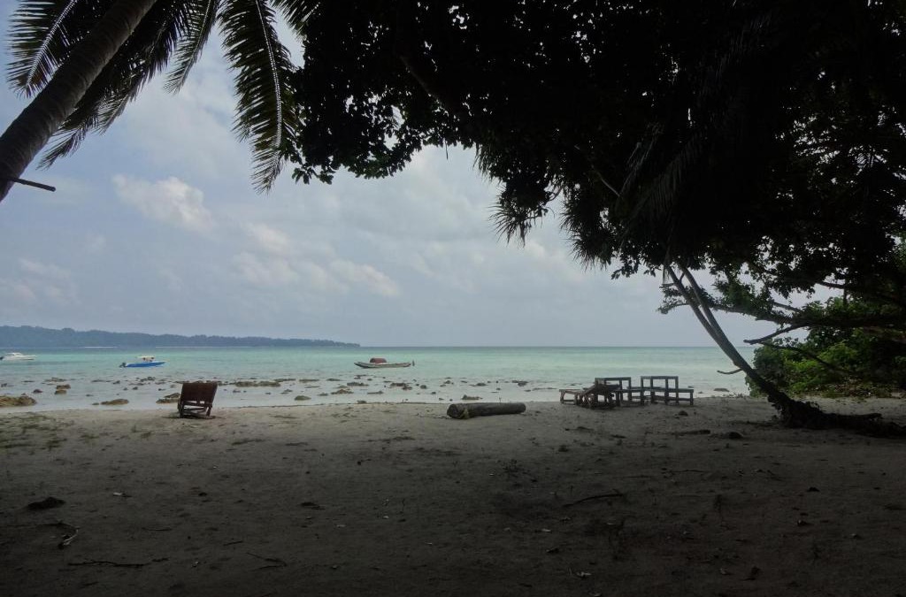 Havelock Island Resort | Gold India Beach Resort