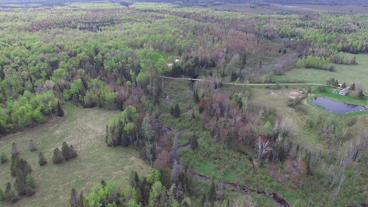 Brimley Cabin | Goldade Acres + Delirium Wilderness = Can't get much farther out than this