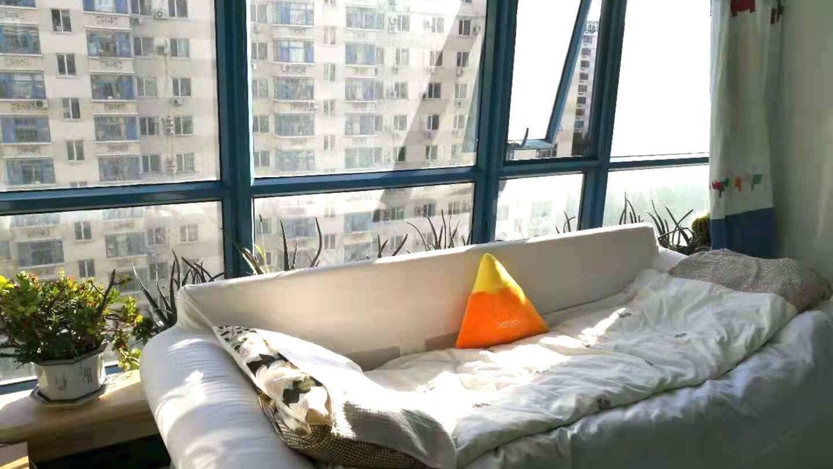 Beijing Apartment | Golden guesthouse