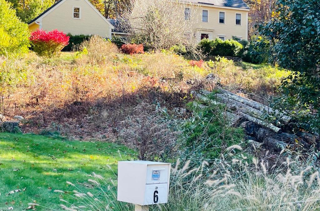 Georgetown House | Golden Hill Oasis