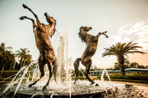 Scottsville Hotel | Golden Horse Hotel