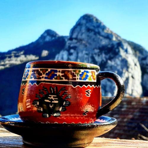 Stara Planina House | Golemi kamik Pirot