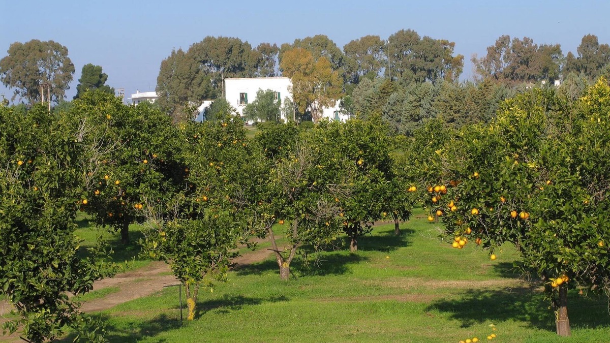 Bernalda House | Golf Club Metaponto