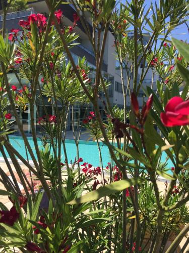 Bad Waltersdorf Apartment | Golf & Wellness Apartment 34.