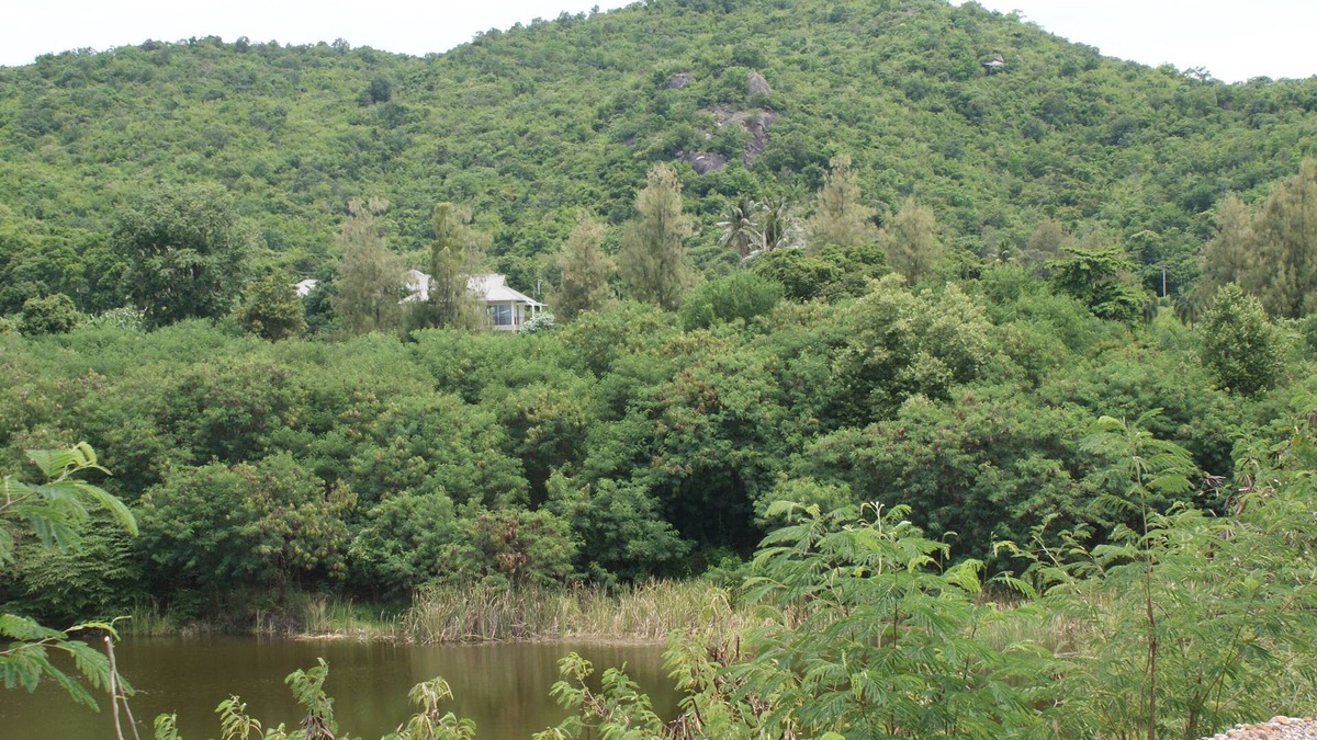 Khao Tao Apartment | Golf. Wild Watching . Thai Food