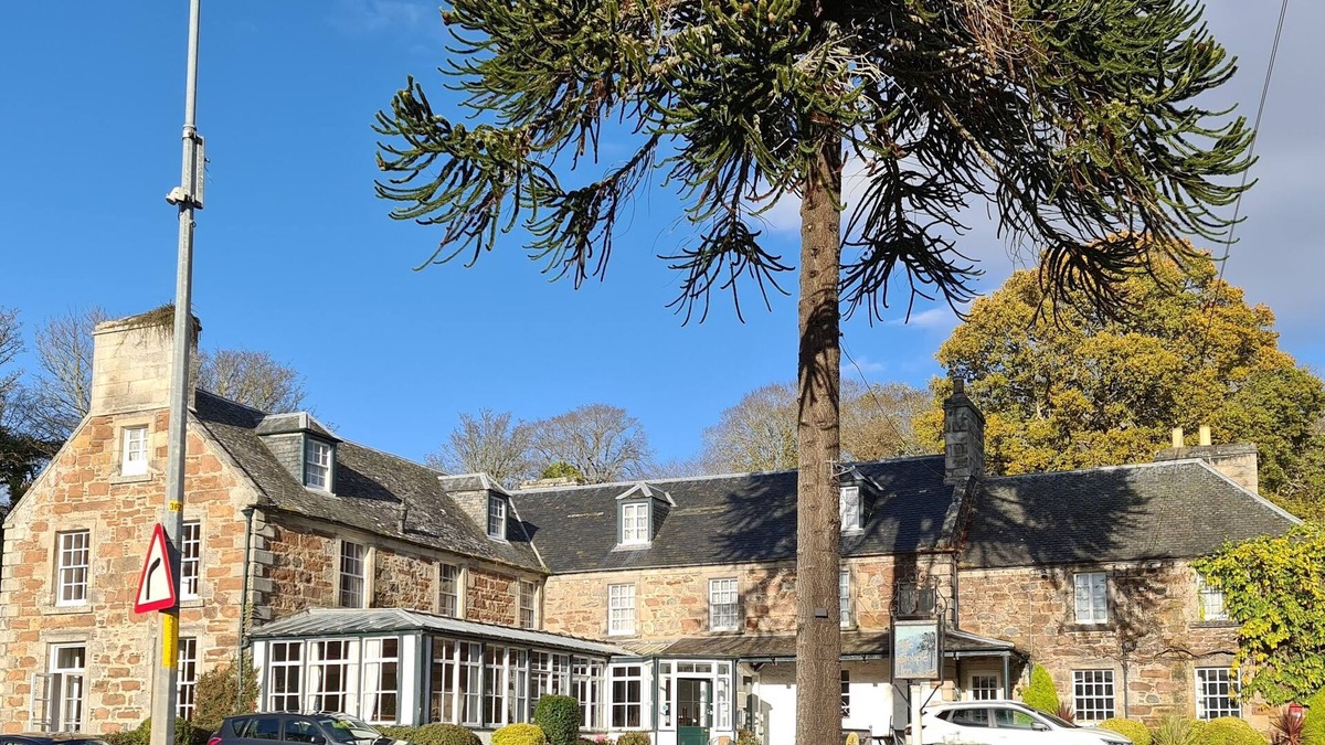 Golspie Hotel | Golspie Inn