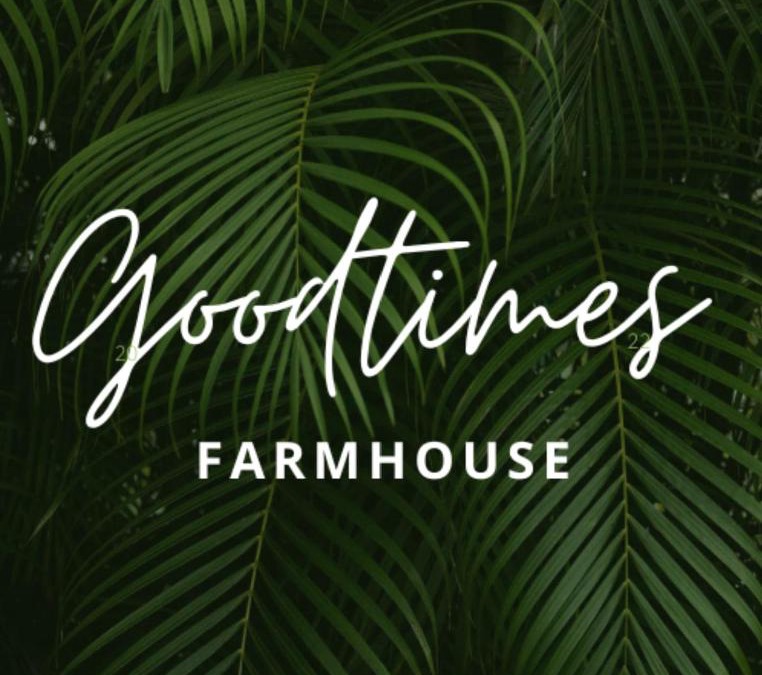 Ibrahimpatan House | Goodtimes Farmhouse