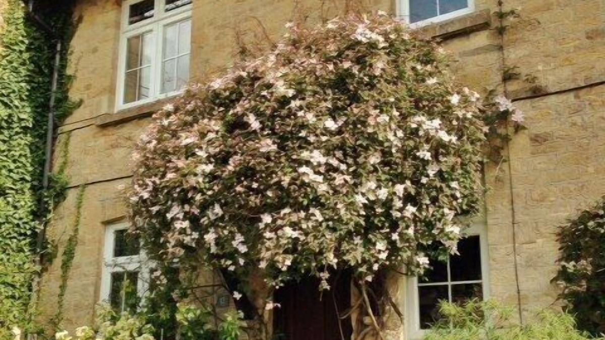 Gillingham House | Gorgeous 2 Bedroom Country Cottage With Lovely Garden Views & Great Location