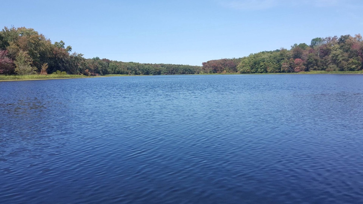 Corbyville House | Gorgeous All Season Water Front Cabin