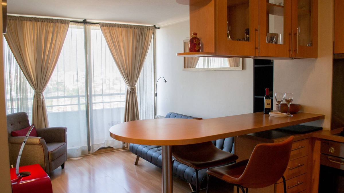 Santiago Apartment | Gorgeous apartment in Providencia