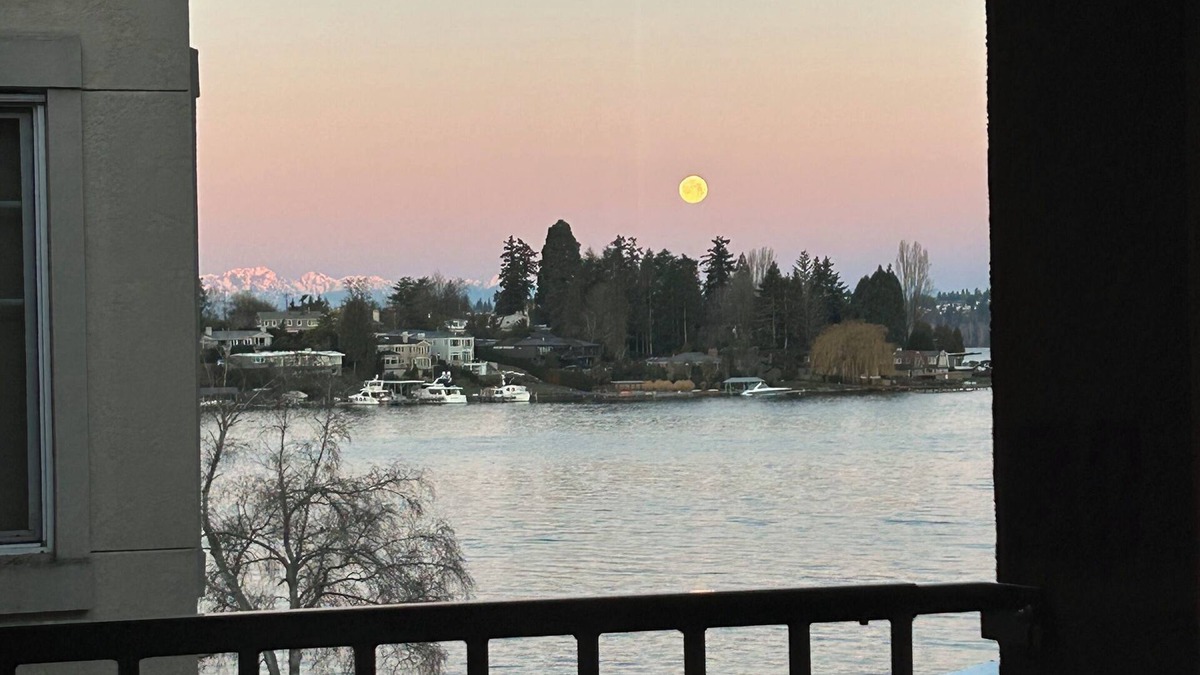 Kirkland Apartment | Gorgeous HUGE Lakefront 2 bedroom Apartment!