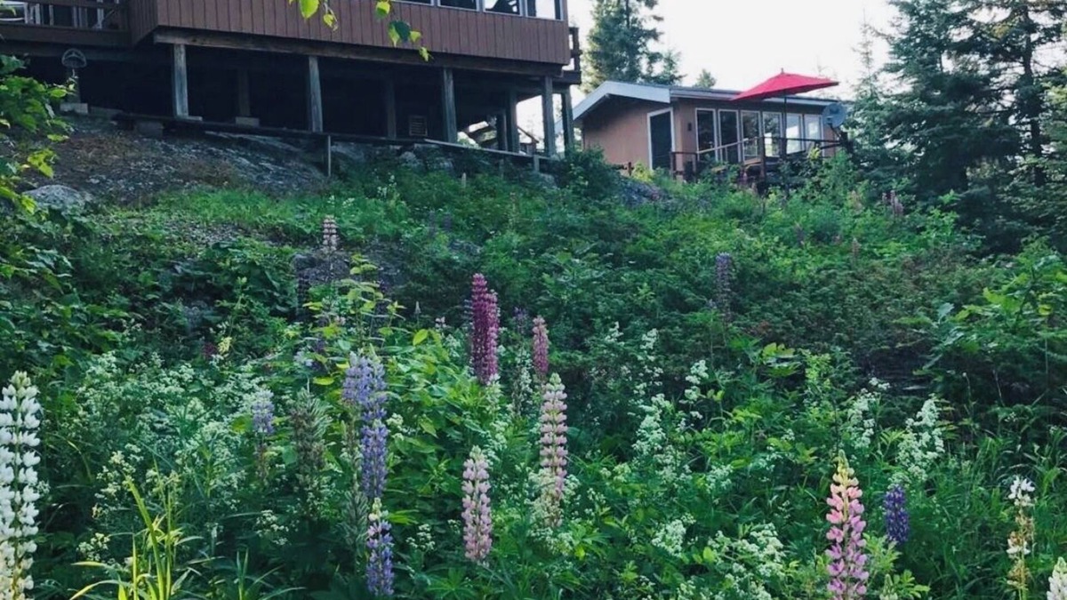 Northern Ontario Cabin | Gorgeous Lake of the Woods Cabin