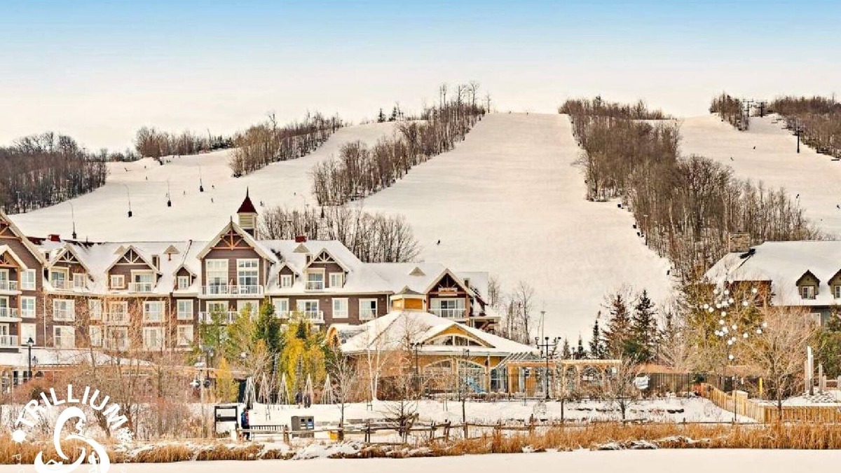 Craigleith Apartment | Gorgeous Loft in Heart of Blue Mountain