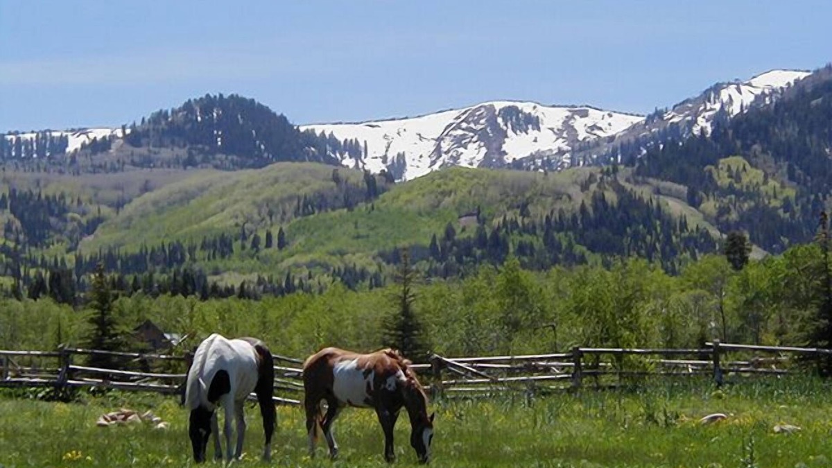 Park City Ski Chalet | Gorgeous Mountain View from This Remodeled Red Pine Condo