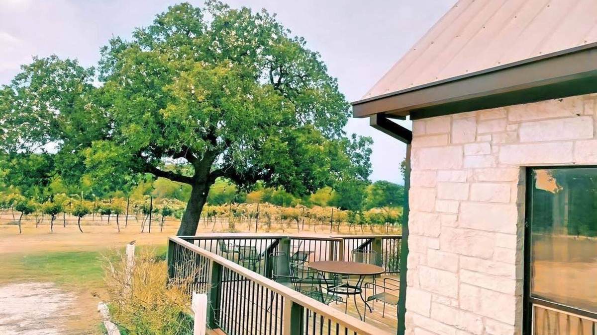 Round Mountain House | Gorgeous Vineyard Home in the middle of the Vines!