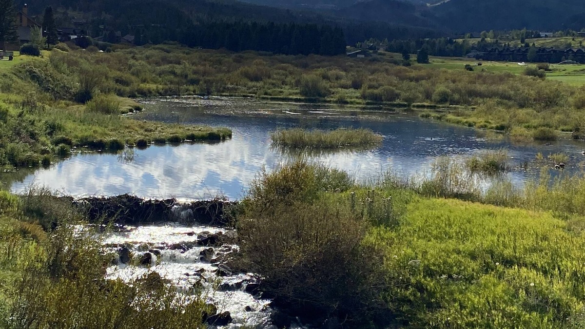 Big Sky Meadow Village Condo | Gorgeous Wetlands and Breathtaking Views!