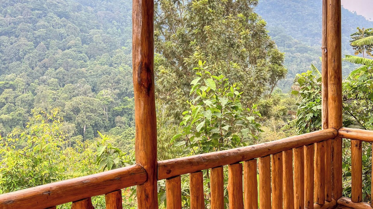 Bwindi Cabin | Gorilla Bluff Lodge