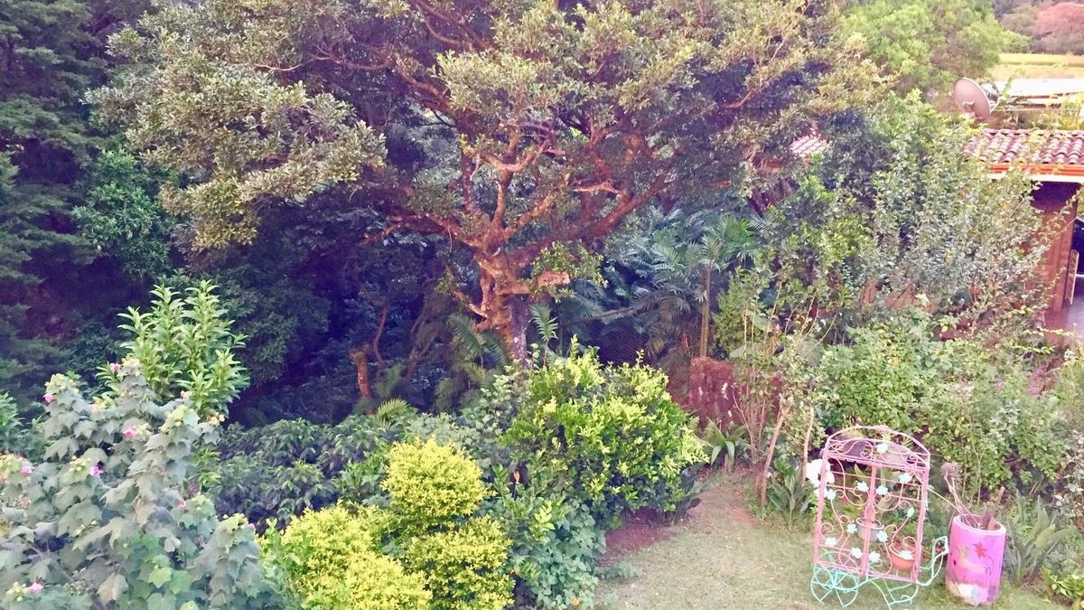 Heredia Bed & Breakfast | Gosen B&B