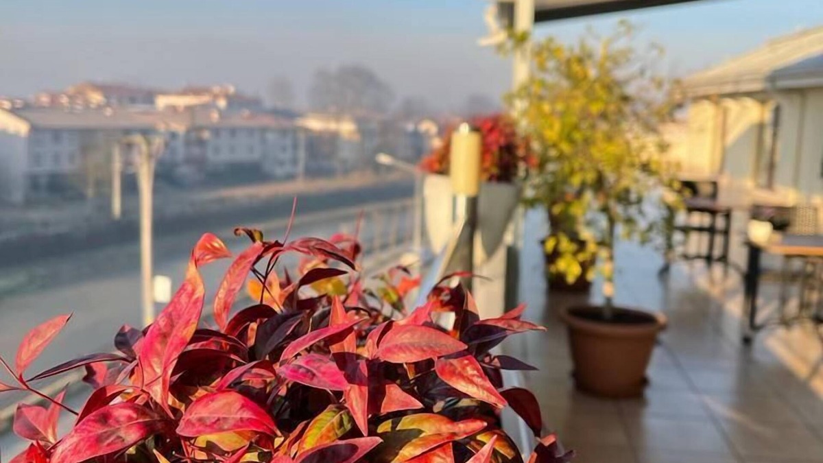 Duzce Hotel | Gosterisli Hotel