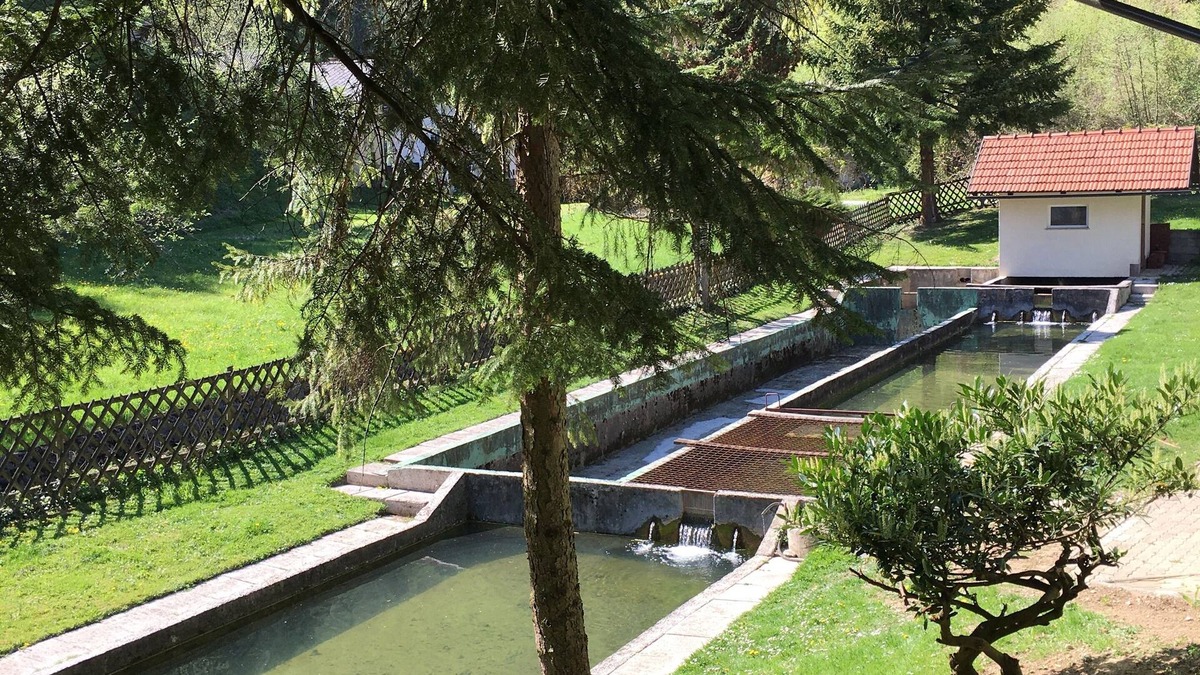 Vidrga House | Gostišče Atelšek