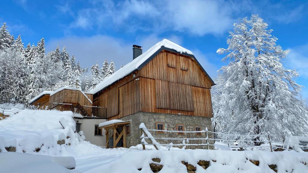 Semic Villa | Gozdna vila Sredgora