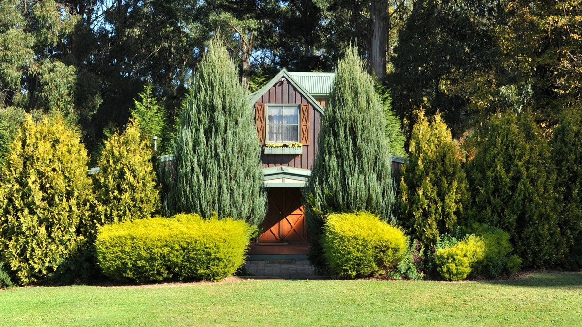 Olinda Bed & Breakfast | Gracehill