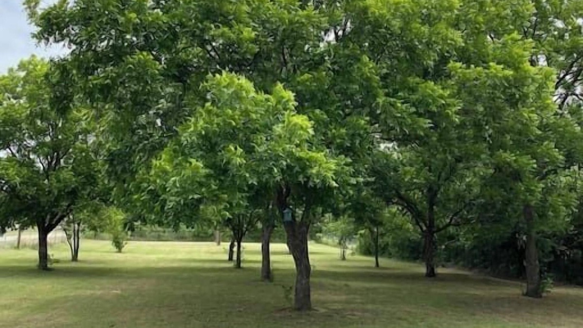 Graham House | Graham Pet Friendly Route 66 @ The Mistletoe Farm