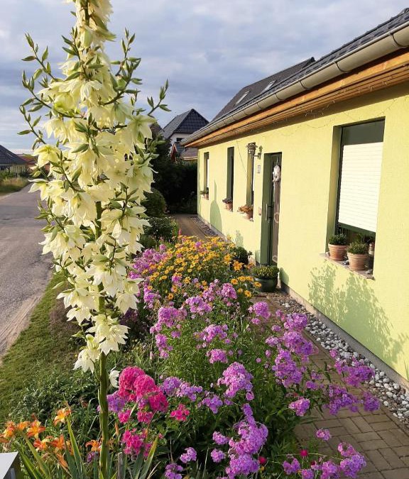 Feldberger Seenlandschaft Apartment | GRAHLS- Ferienapartement