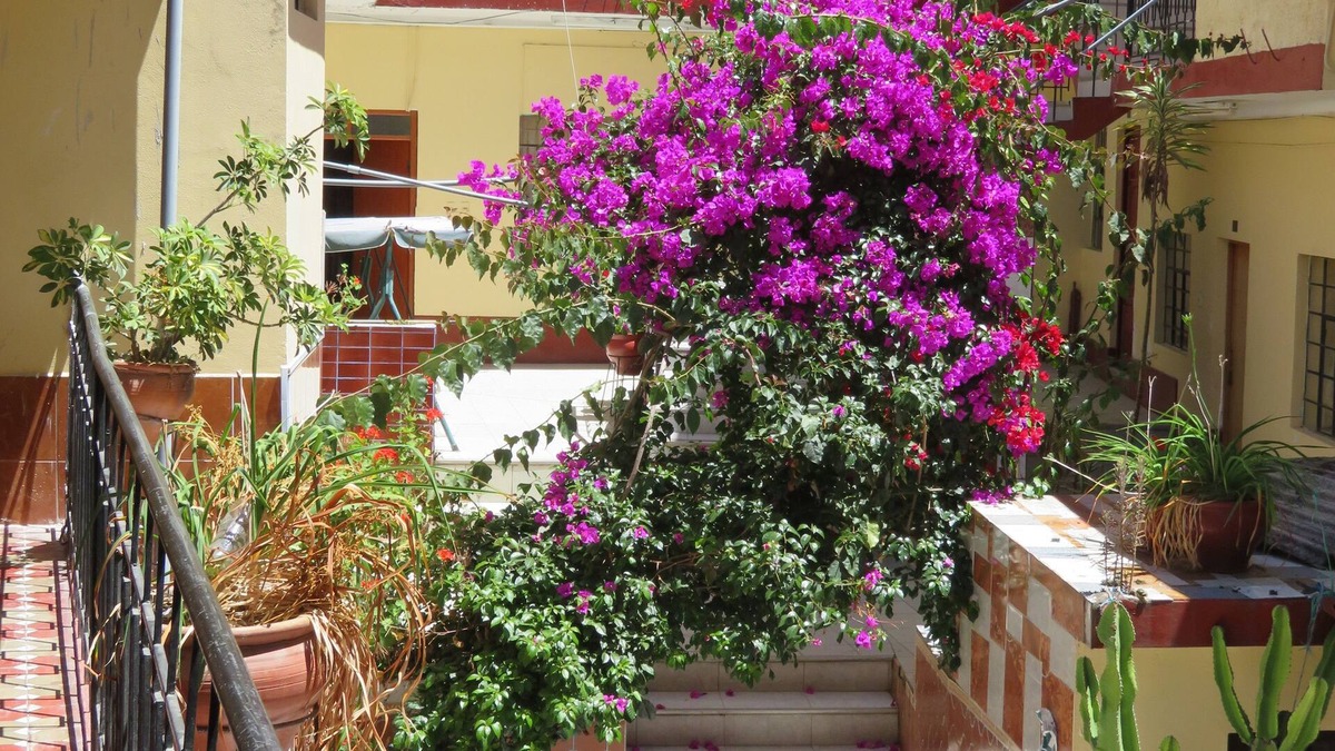 Abancay Hotel | Gran Hotel Abancay
