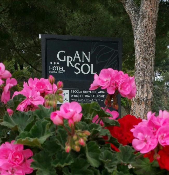 Sant Pol De Mar Hotel | Gran Sol Hotel