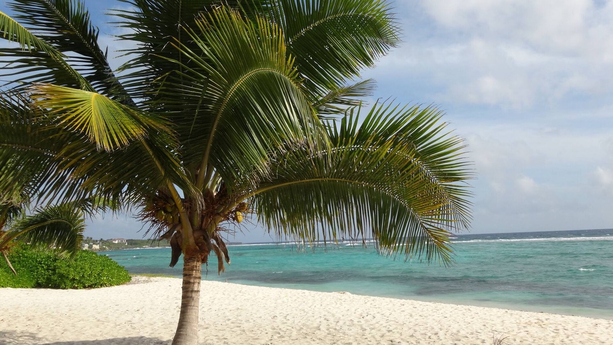 Bodden Town Condo | Grand Cayman - Luxury 2 bedroom & 2 bathroom condo, wonderful sea view terrace