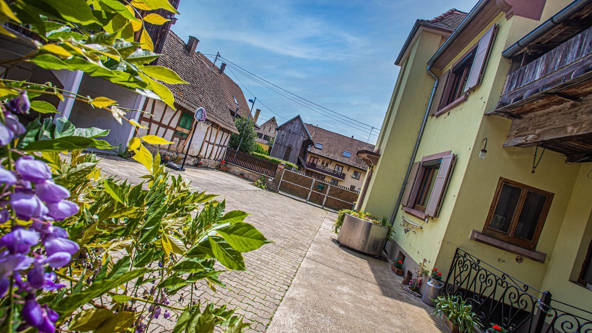 Boofzheim House | Grand Gîte Jusqu'à 14 Personnes Prox Europapark
