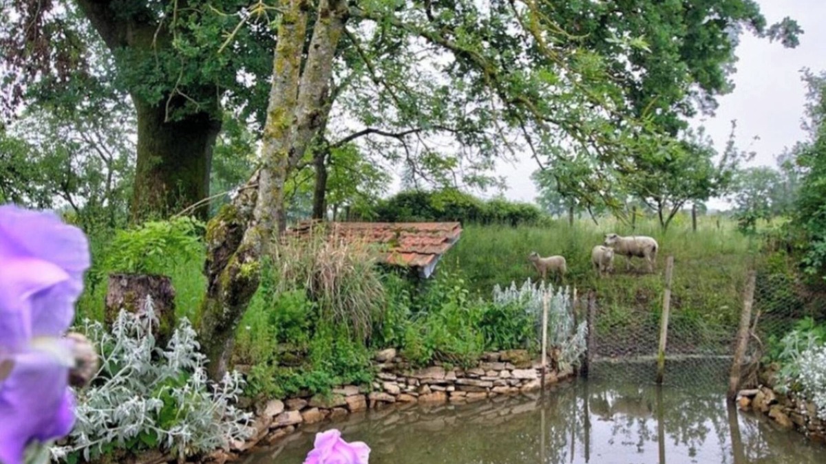 Saint-Didier-d'Aussiat House | Grand Gite Bressan, 1h Nord de Lyon, au Coeur de L'axe Mâcon- Bourg en Bresse