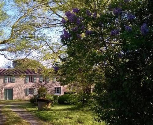 Lussan House | Grand Mas, 32 hectares, nature et retrouvailles
