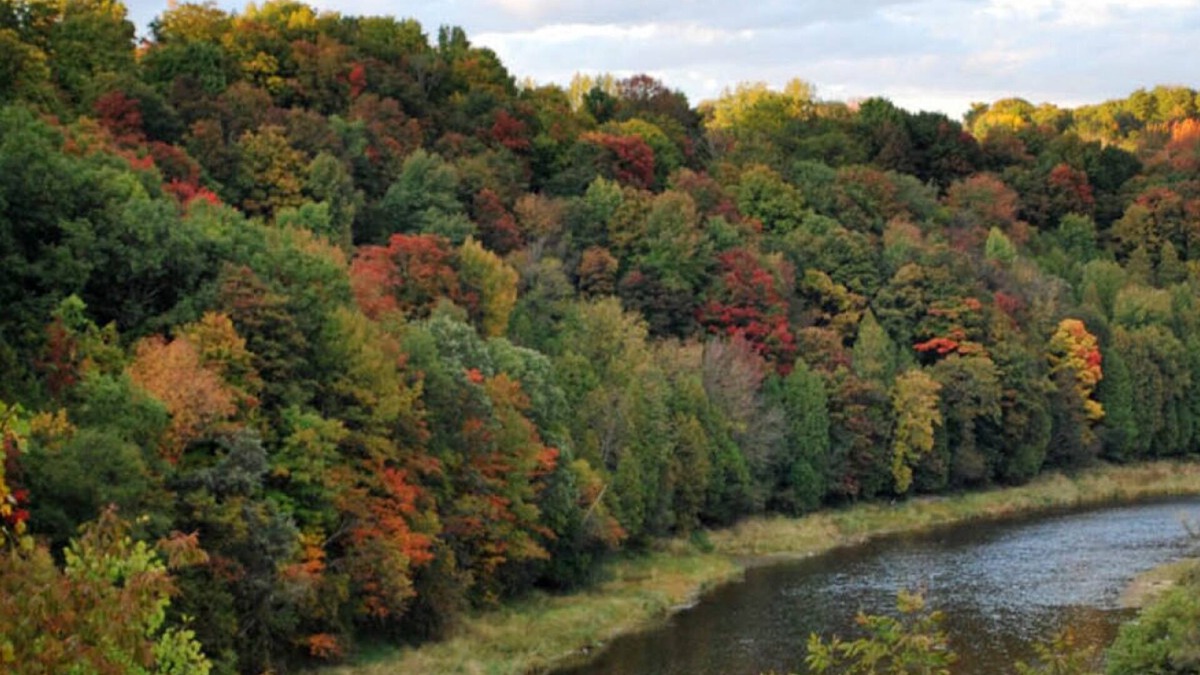 Paris Condo | Grand River.Grand View executive condo Downtown Paris