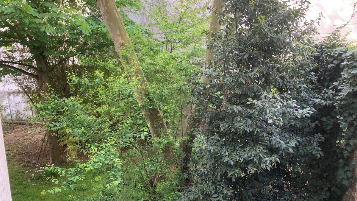 Quartier Saint-Ambroise Apartment | Grand Studio de Caractère Paris 11e à Deux pas du Père-lachaise