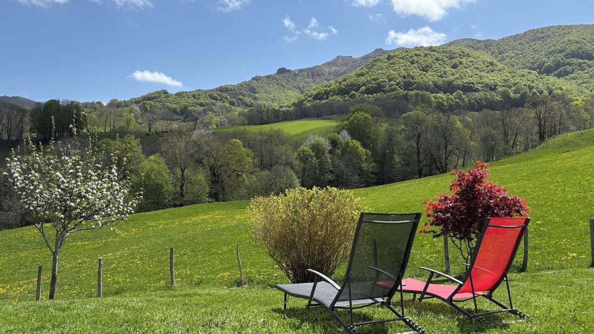 Mandailles-Saint-Julien House | Grange Aménagée, Pour les Amoureux de la Nature. Animaux de Compagnie Acceptés !