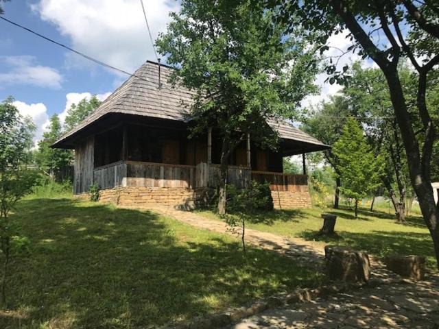 Moisei House | Granny's House