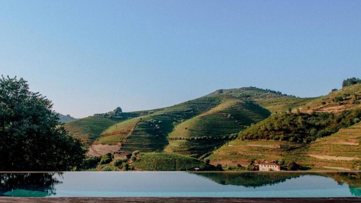 Vila Real House | Grapegarden - Quinta do Vale da Ermida