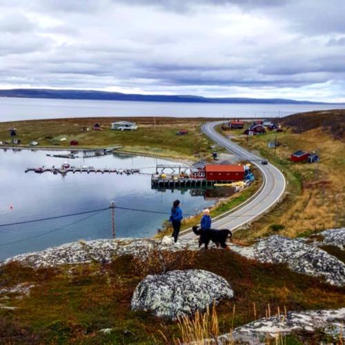Nesseby Apartment | Grasbakken Panorama