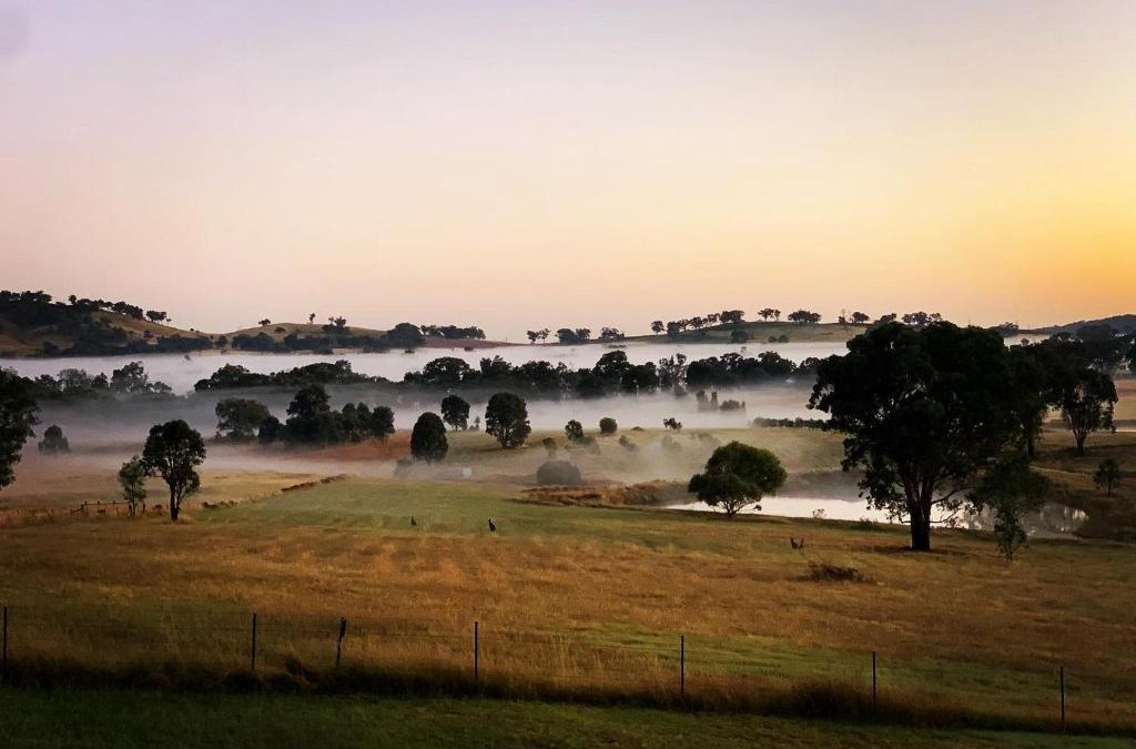 Grattai House | Grattai Grove Mudgee