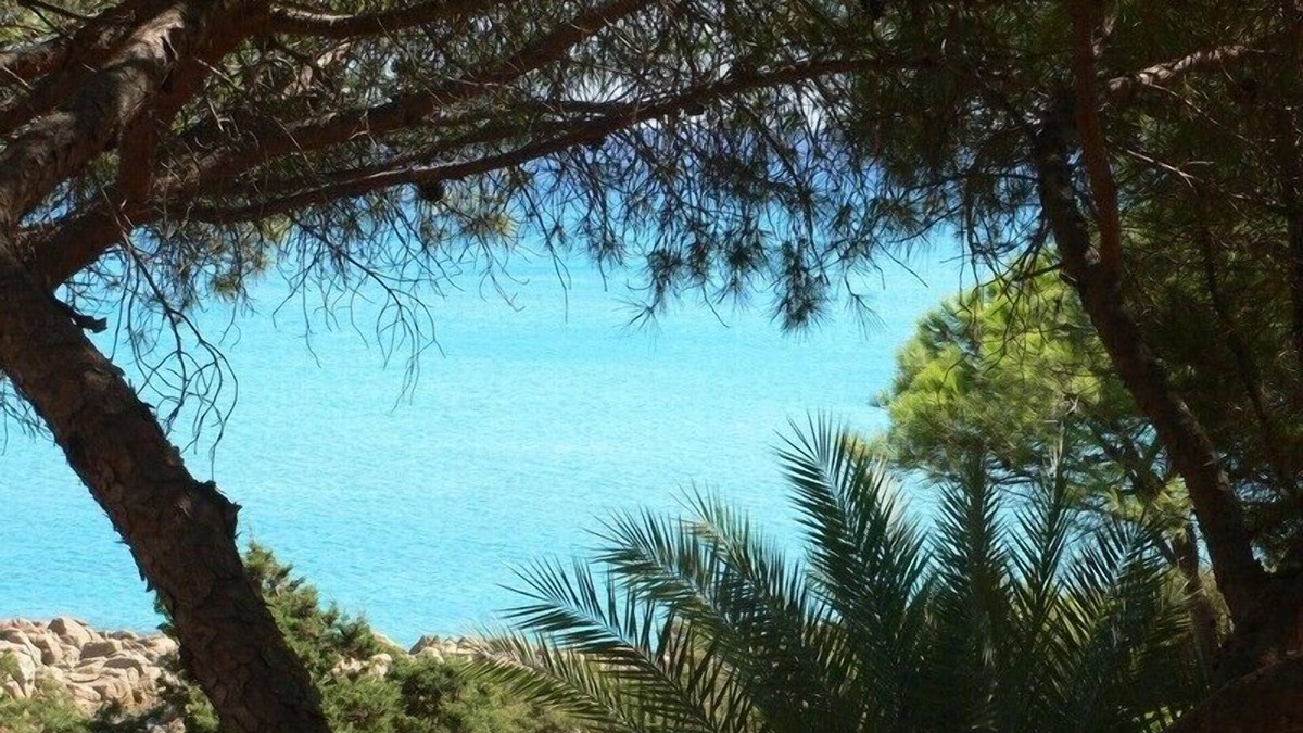 Sas Linnas Siccas Apartment | Great Apartment in a villa overlooking the sea with terrace and garden
