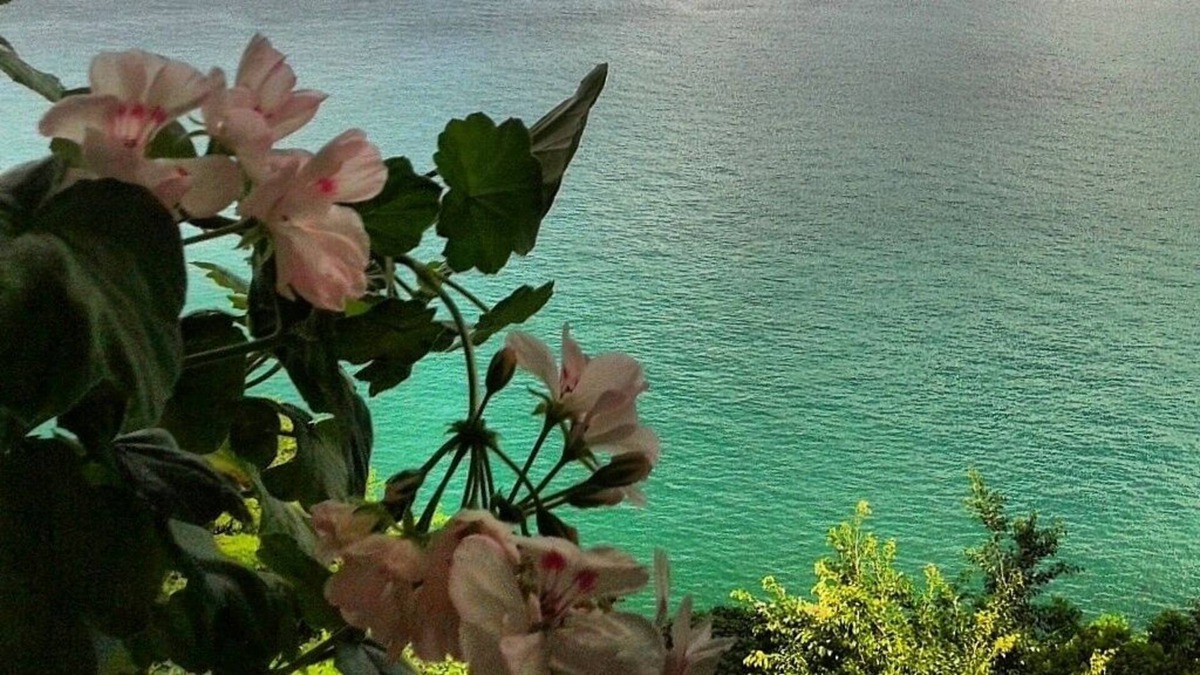 Vitoria Apartment | Great apt! 03 rooms in Corredor da Vitória: the best neighborhood in Salvador!