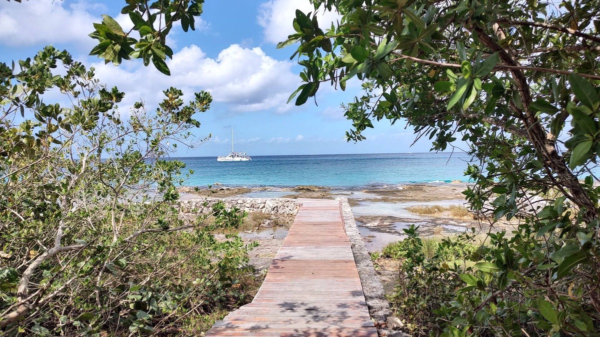 Colonos Cuzamil Condo | Great Condo in Cozumel, OCEAN FRONT! #10
