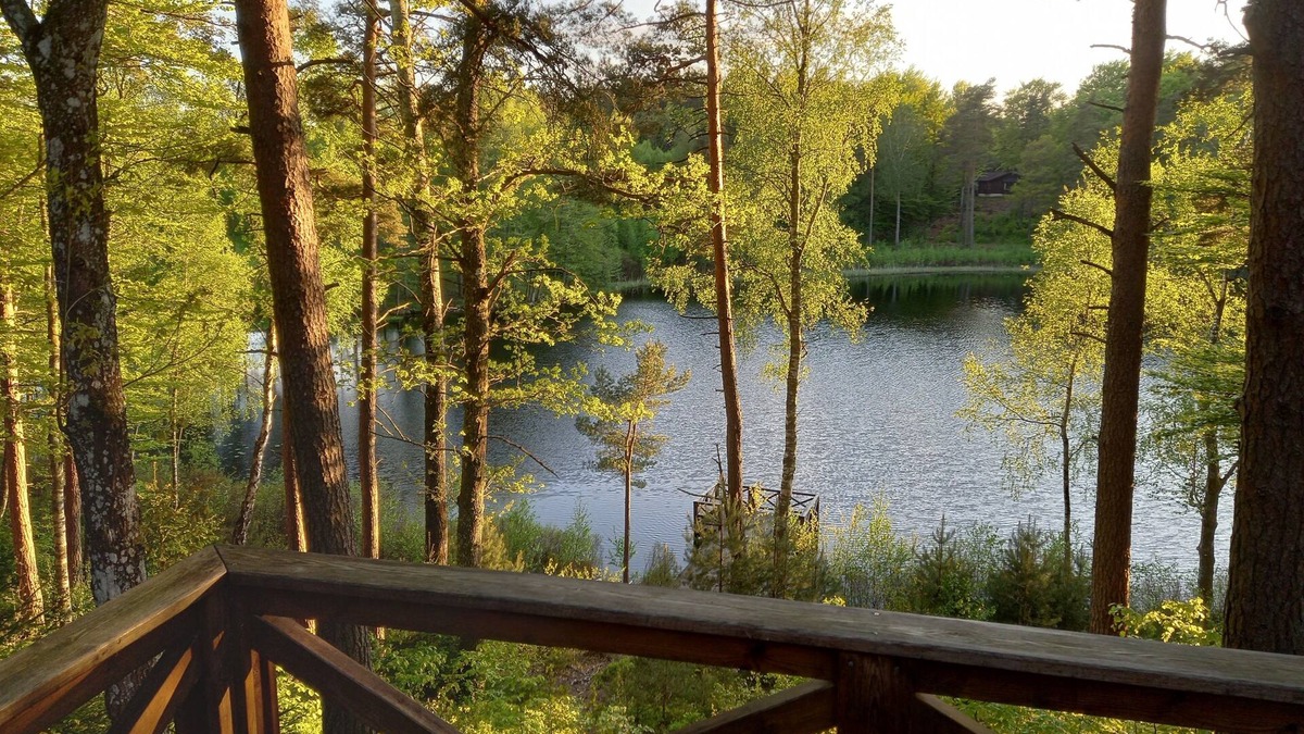 Hassleholm Municipality House | Great house with Spa and Sauna